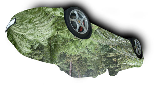 green prosche
